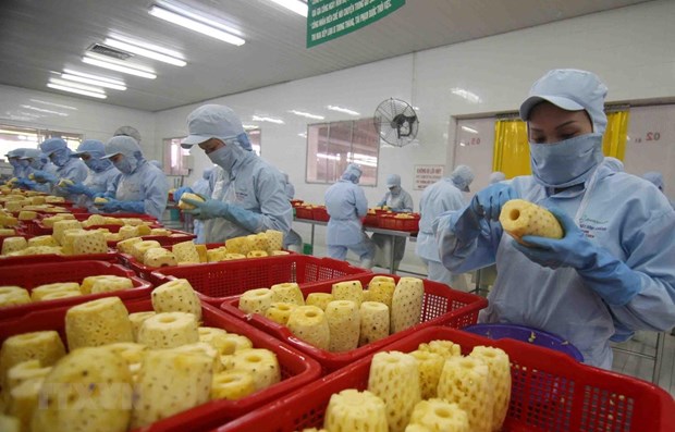 Fruits et légumes le pays cible 10 milliards de dollars d exportations d’ici 2030